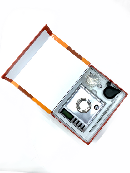 ACE GM-20g Scale-100/0.005 cts.
